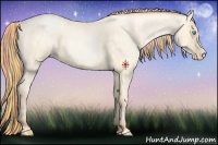 Horse Color:Buckskin Roan Pearl  and Amber Cream Champagne Roan Pearl 