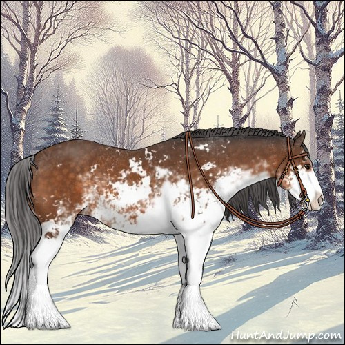 Horse Color:Buckskin Sabino