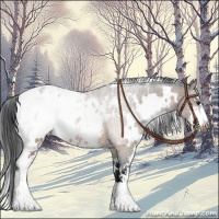 Horse Color:White Spotted Bay Sabino Varnish 