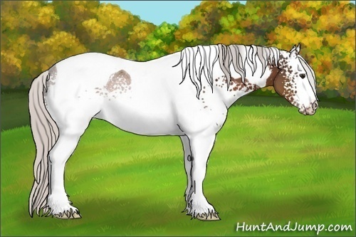 Horse Color:White Spotted Silver Brown Tobiano 