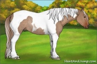 Horse Color:Liver Red Dun Tobiano Rabicano 