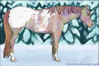 Horse Color:Nacre Red Dun Snowcap 