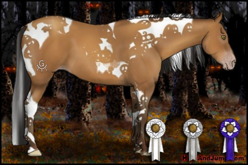 Horse Color:Gray Amber Champagne Tobiano