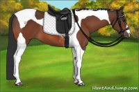 Horse Color:Bay Tobiano 