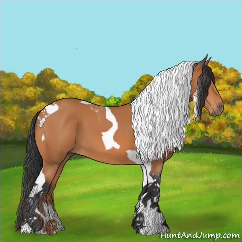 Horse Color:Bay Tobiano 