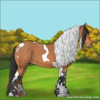 Horse Color:Bay Tobiano 