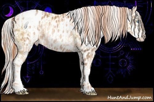 Horse Color:Sable Champagne Pearl Appaloosa  and Silver Brown Pearl Appaloosa 