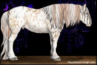 Horse Color:Sable Champagne Pearl Blanket and Silver Brown Pearl Near Leopard