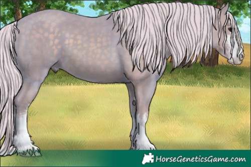 Horse Color:Watercolor White Spotted Silver Black 