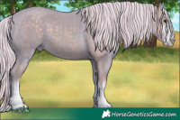 Horse Color:Watercolor White Spotted Silver Black