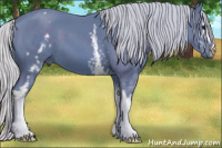 Horse Color:Watercolor White Spotted Silver Black 