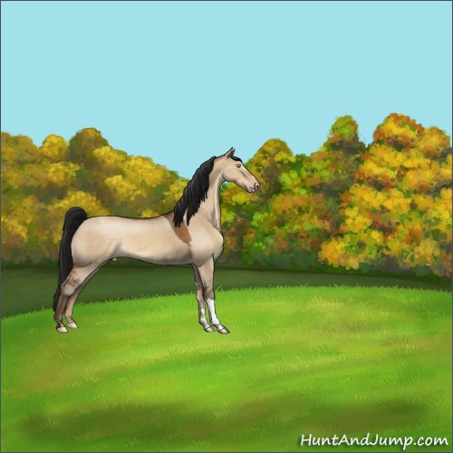 Horse Color:Gray Sable Champagne Dun Appaloosa