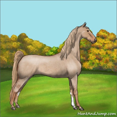 Horse Color:Red Dun Roan 