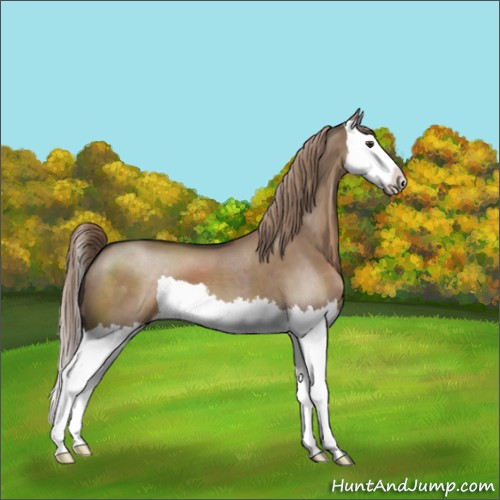 Horse Color:Liver Red Dun Splash 
