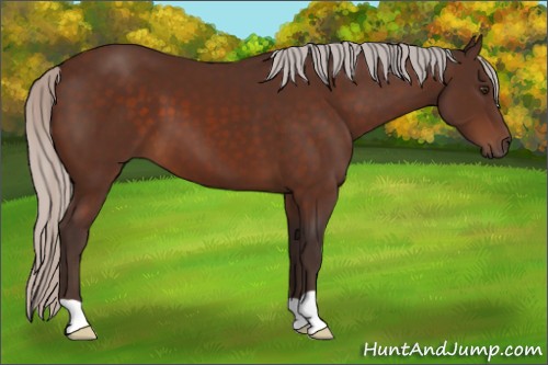Horse Color:Silver Brown 