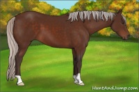 Horse Color:Silver Brown