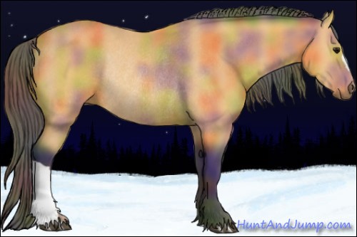 Horse Color:Nacre Buckskin Rabicano 