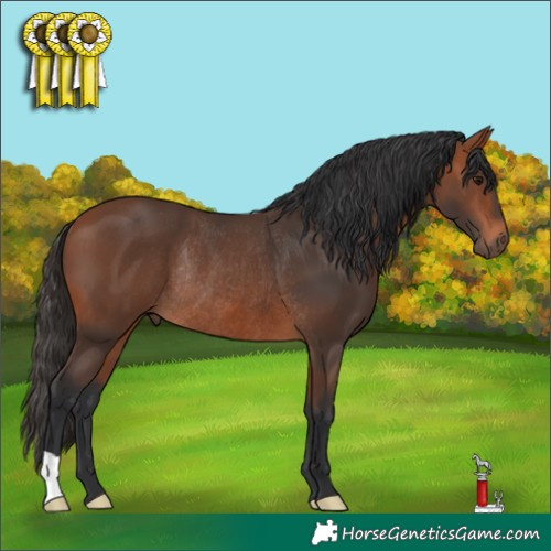 Horse Color:Bay Rabicano