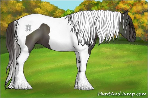 Horse Color:Smoky Black Tobiano 