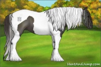 Horse Color:Smoky Black Tobiano 