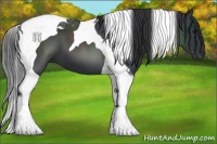 Horse Color:Black Tobiano 