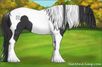 Horse Color:Black Tobiano 