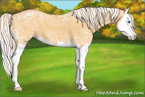 Horse Color:Palomino Ice Splash 