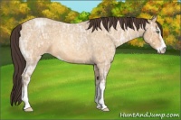Horse Color:Amber Cream Champagne Ice Roan Sabino