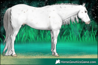 Horse Color:Bay Sabino 