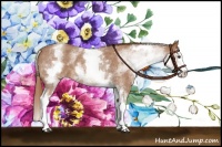 Horse Color:White Spotted Red Roan Splash