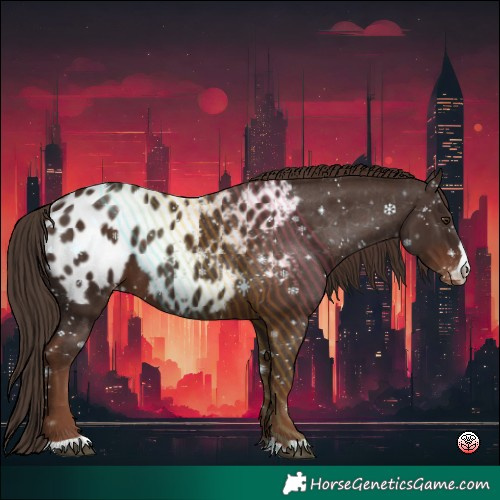 Horse Color:Liver Chestnut Appaloosa 