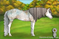 Horse Color:Buckskin Onyx Splash Blanket and Painted Chocolate Palomino Pearl Splash