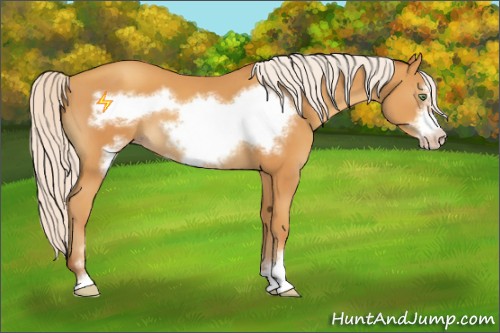 Horse Color:Silver Sable Cream Champagne Sabino Frame 