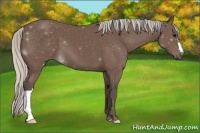 Horse Color:Silver Black 