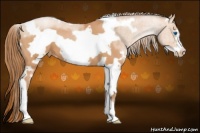 Horse Color:White Spotted Bay Pearl Frame Varnish