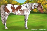 Horse Color:White Spotted Silver Brown