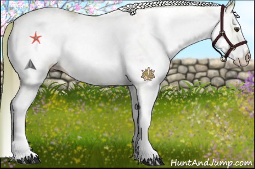 Horse Color:Watercolor White Spotted Red Onyx Pearl 