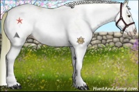 Horse Color:Watercolor White Spotted Red Onyx Pearl