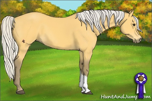 Horse Color:Silver Buckskin 