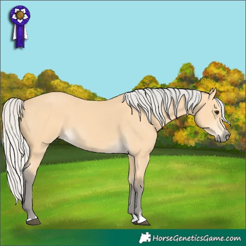 Horse Color:Silver Buckskin 