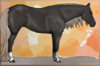 Horse Color:Gray Silver Black 