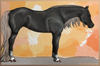 Horse Color:Gray Silver Black 