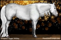 Horse Color:Gray White Spotted Liver Chestnut 