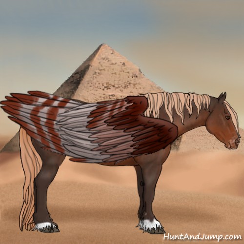 Horse Color:Liver Chestnut Appaloosa 