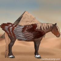 Horse Color:Liver Chestnut Appaloosa 