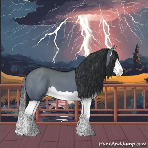 Horse Color:Grullo Chinchilla Splash 