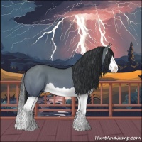 Horse Color:Grullo Chinchilla Splash 