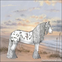 Horse Color:Silver Black Chinchilla Splash Near Leopard