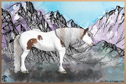 Horse Color:White Spotted Liver Chestnut Splash Tobiano 