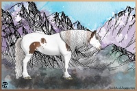 Horse Color:White Spotted Liver Chestnut Splash Tobiano 